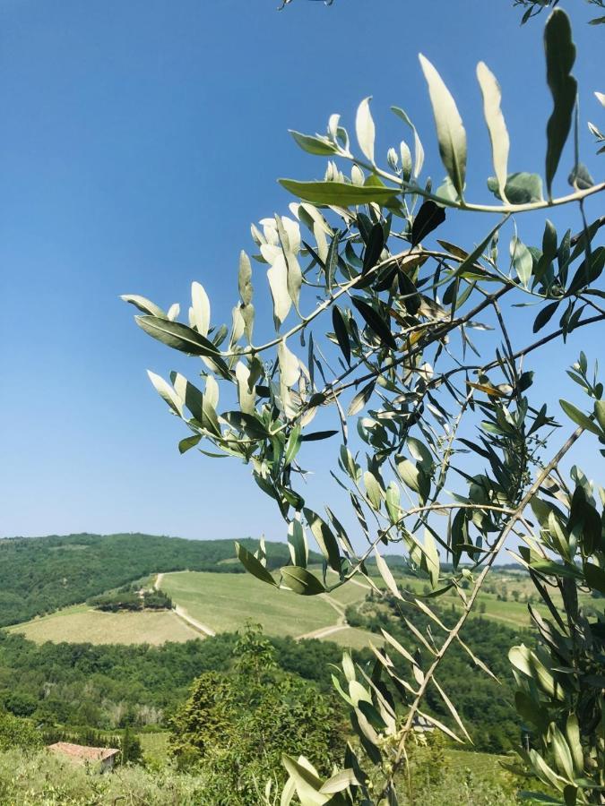 Mea Casa Toscana Кастелина ин Шианти Экстерьер фото