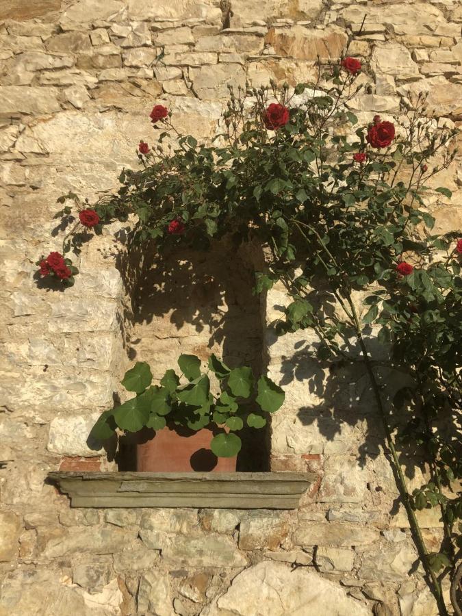 Mea Casa Toscana Кастелина ин Шианти Экстерьер фото