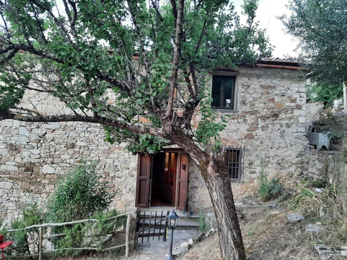 Mea Casa Toscana Кастелина ин Шианти Экстерьер фото