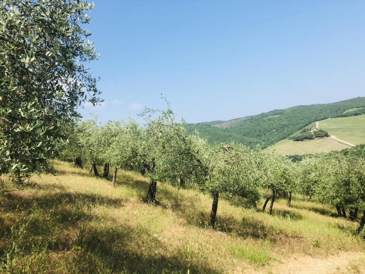 Mea Casa Toscana Кастелина ин Шианти Экстерьер фото