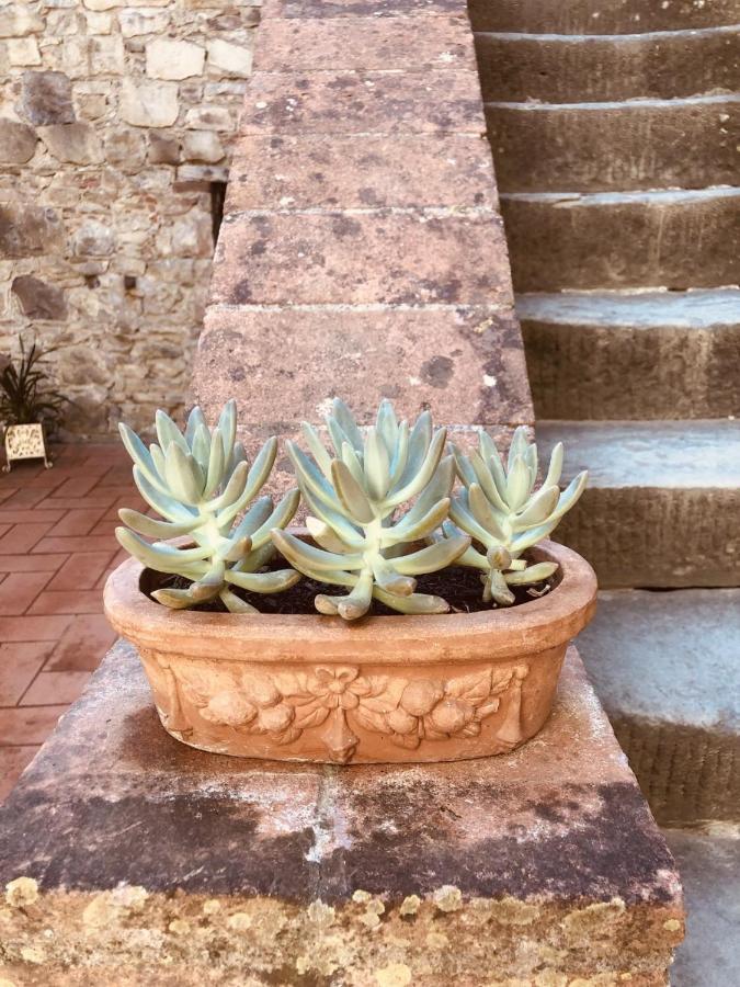 Mea Casa Toscana Кастелина ин Шианти Экстерьер фото